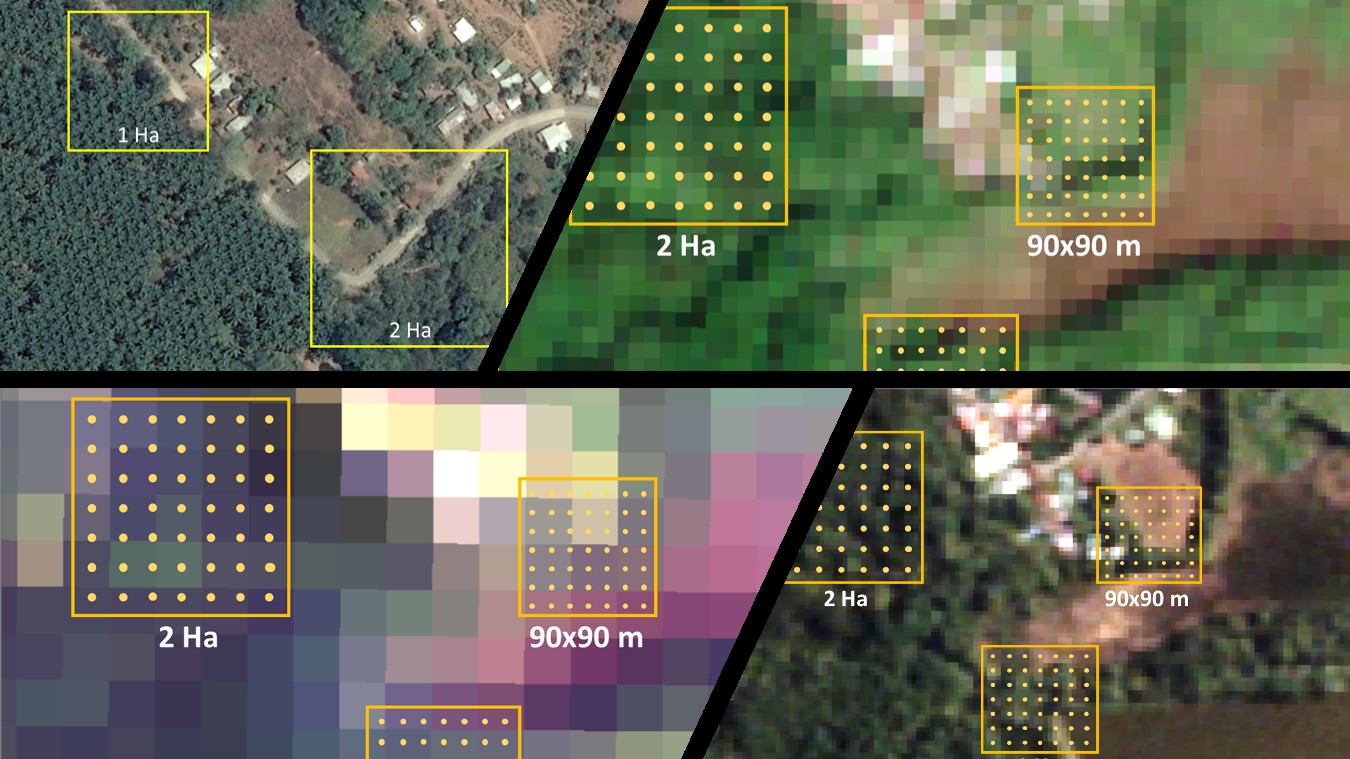 Fuente de las imágenes