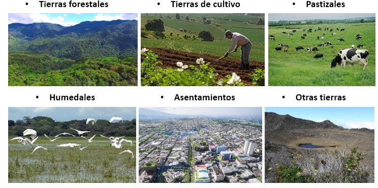 Sistema de clasificación